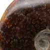 Sawn polished ammonite - 4