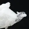 Himalayan Quartz - 5