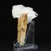 Quartz Faden Himalaya - 4