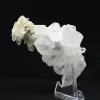 Faden Himalayan Quartz Crystal - 4