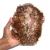 Polished Petrified Wood from Madagascar - 0