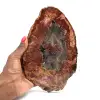 Natural polished petrified wood - 0
