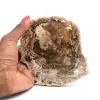 Fossil Wood - 0