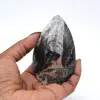 Orthoceras polished from Morocco - 0