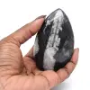 Orthoceras Fossil from Morocco - 2