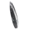 Orthoceras fossil from Morocco - 3