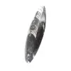 Orthoceras fossil Morocco - 2