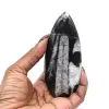 Orthoceras Fossil from Morocco - 5