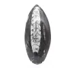 Orthoceras from Morocco - 1