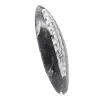 Orthoceras from Morocco - 3