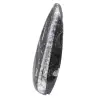 Polished Orthoceras Fossil - 2