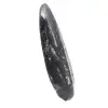 Polished Orthoceras Fossil - 3