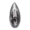 Orthoceras Fossil Morocco - 1
