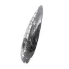 Orthoceras Fossil Morocco - 2