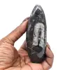 Orthoceras Fossil from Morocco - 11