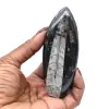 Orthoceras Fossil from Morocco - 12