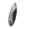 Polished Orthoceras - 2