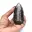 Orthoceras Fossil from Morocco — 13
