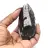 Orthoceras fossil from Morocco