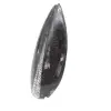 Orthoceras fossil from Morocco - 2