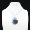 Labradorite Drop Pendant - 0