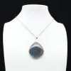 Labradorite Drop Pendant - 1