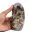 Polished Anhydrite — 4