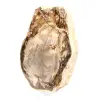Natural polished petrified wood - 3
