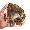 Madagascar Polished Petrified Wood - 0