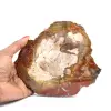 Madagascar Silicified Wood Slice - 0