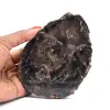 Petrified Wood - 0