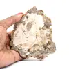 Natural Polished Petrified Wood - 0