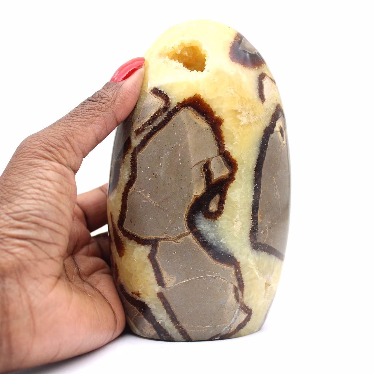 Polished Septaria Stone