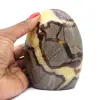 Ornamental Septaria - 0