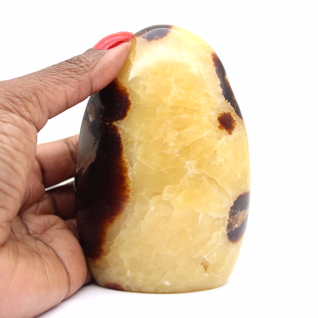 Natural Septaria Stone