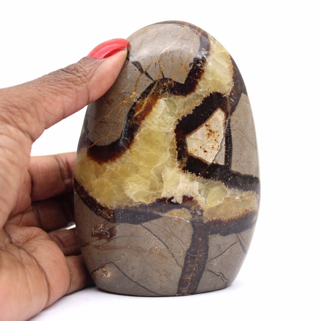 Septaria for Collection from Madagascar