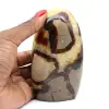 Natural Septaria Rock - 0