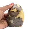 Septaria stone - 0