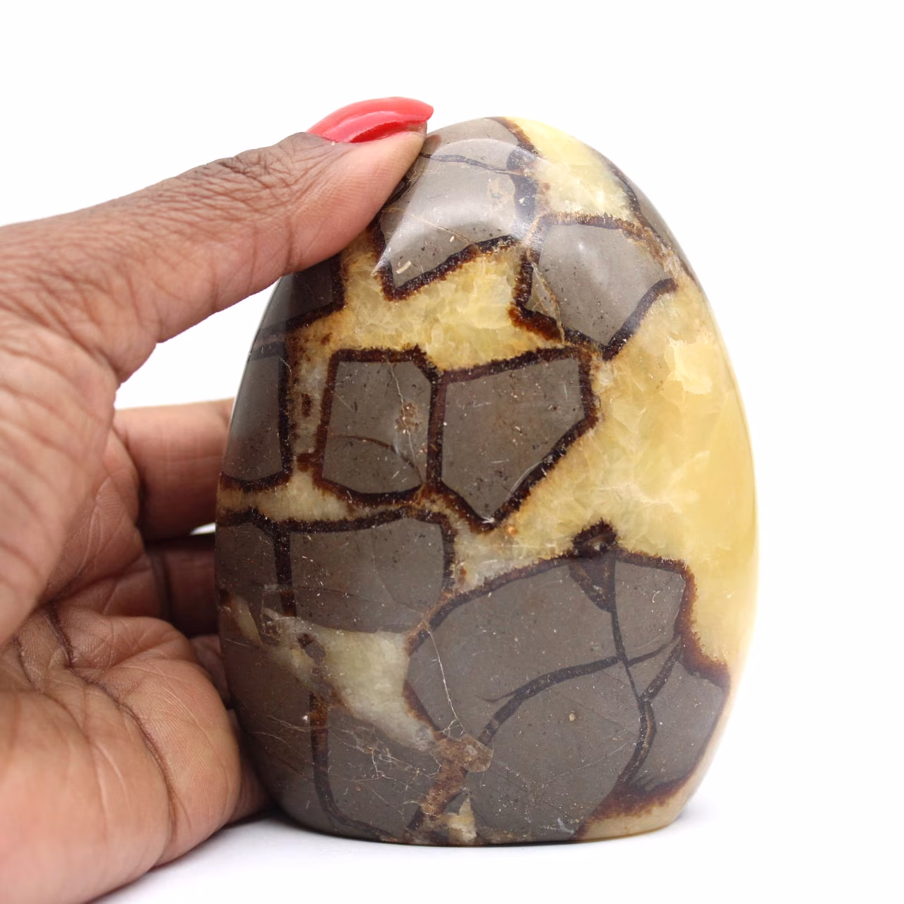 Septaria stone