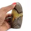 Natural collector's septaria - 0