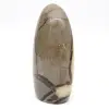 Natural decorative septaria - 3