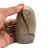 Natural decorative septaria