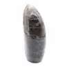 Polished Black Microcline Rock - 3