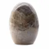 Polished Freeform Black Moonstone - 0