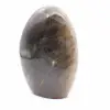 Polished Freeform Black Moonstone - 4