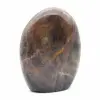 Ornamental Black Moonstone - 5