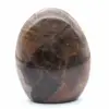 Polished Freeform Black Moonstone - 5
