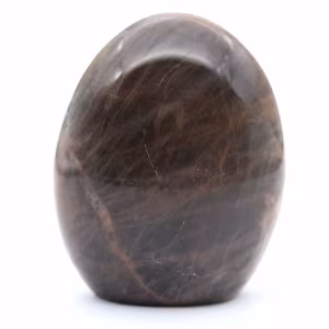 Polished Freeform Black Moonstone