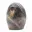 Polished Freeform Black Moonstone — 11