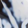 Ornamental Agate - 7